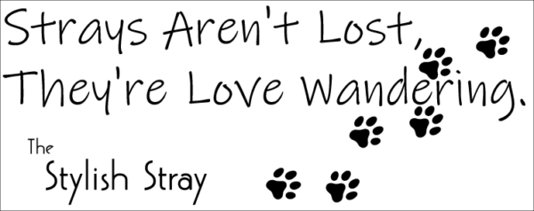 The Stylish Stray Mug - "Strays Aren't Lost, They're Love Wandering"
