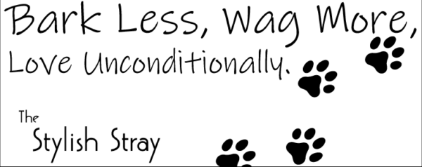 The Stylish Stray Mug - "Bark Less, Wag More, Love Unconditionally"