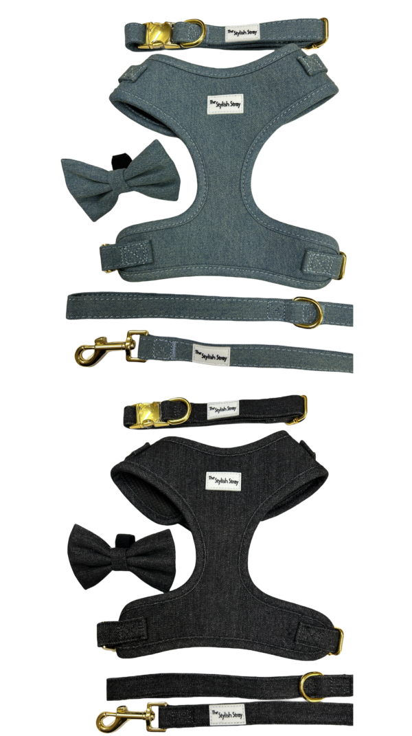 Victorian Vanguard Harness