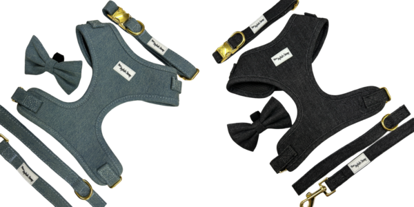 Victorian Vanguard Harness