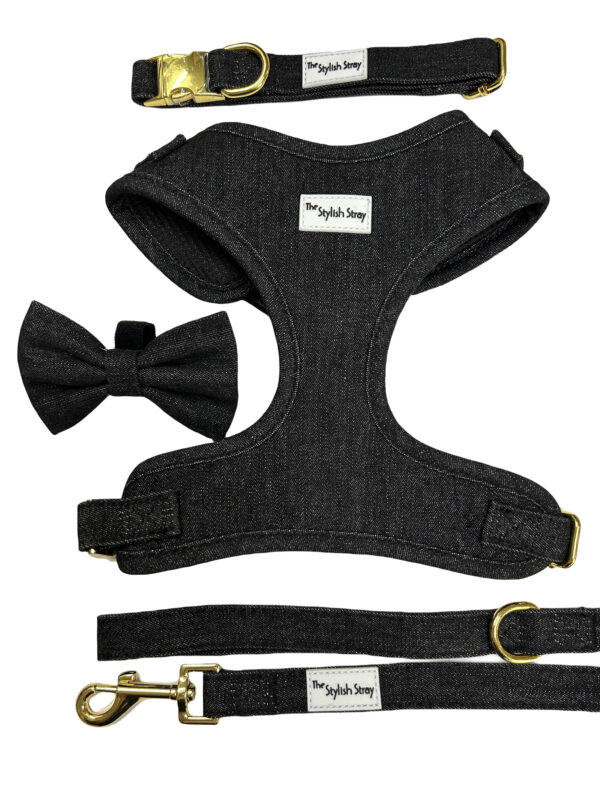 Victorian Vanguard Harness - Black Denim Set