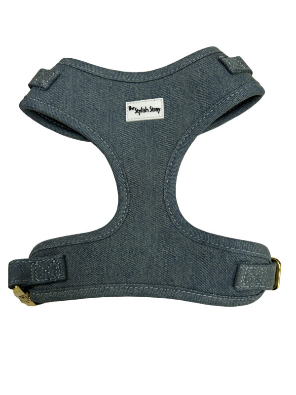 Victorian Vanguard Harness - Blue Denim Harness