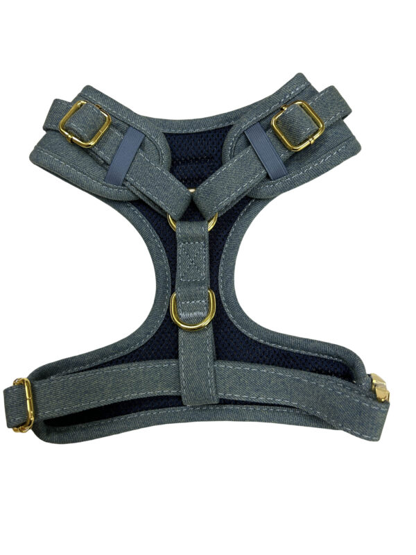 Victorian Vanguard Harness - Blue Denim Harness - Back