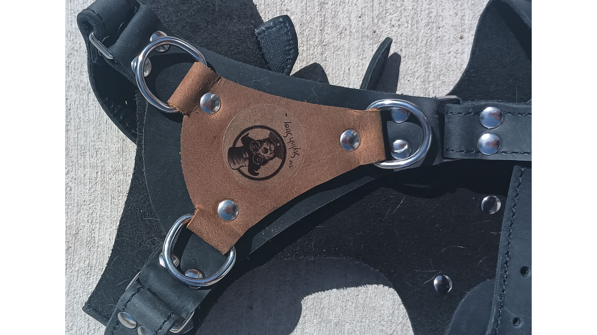 Steampunk Scout Harness