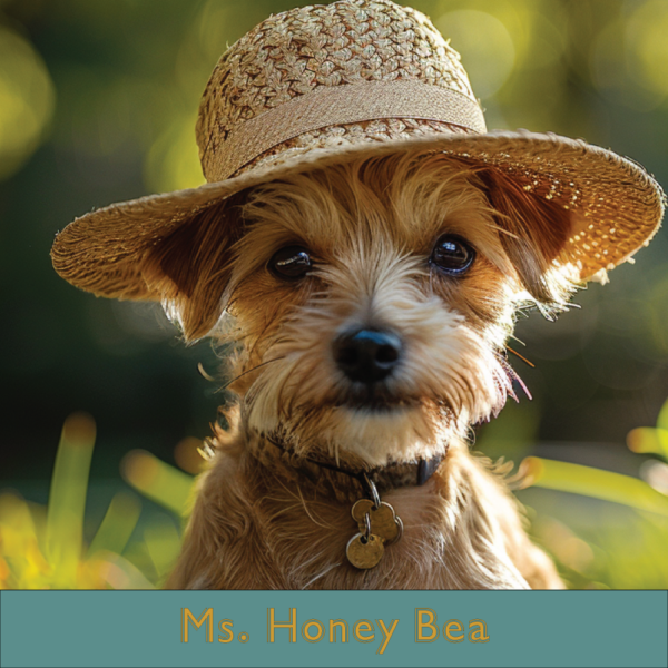 The Stylish Stray Gift Cards - Ms. Honey Bea