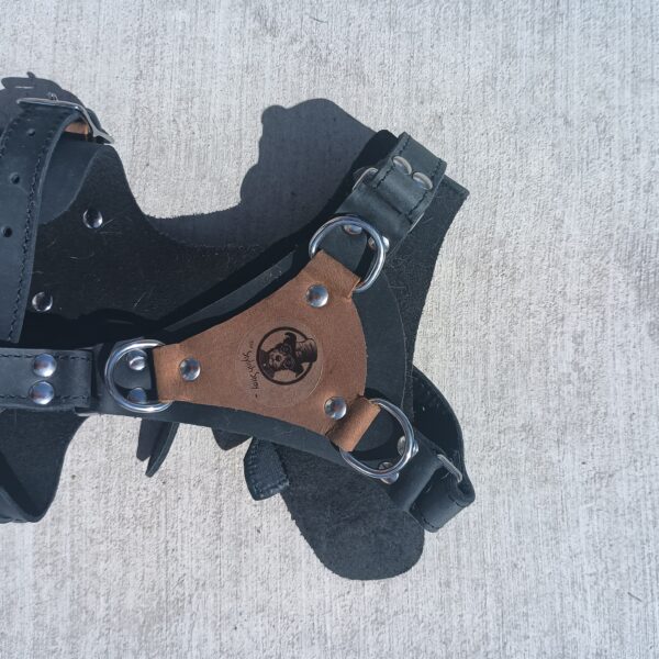 Steampunk Scout Harness