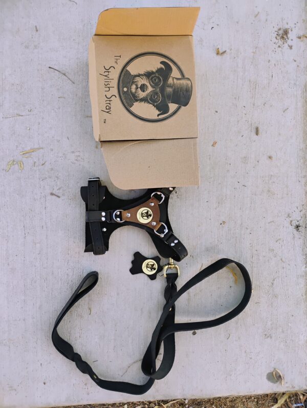 Steampunk Scout Harness