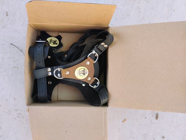 Steampunk Scout Harness