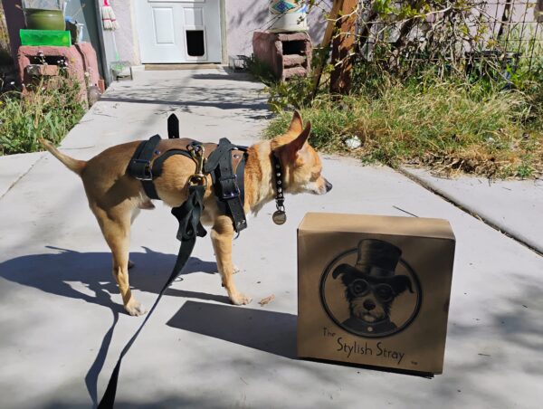 Steampunk Scout Harness