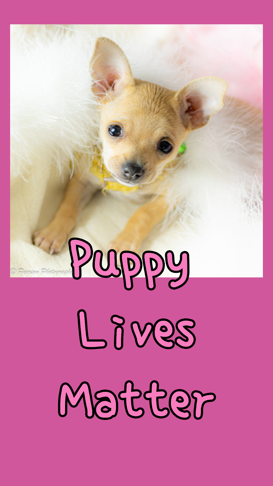Puppy Lives Matter