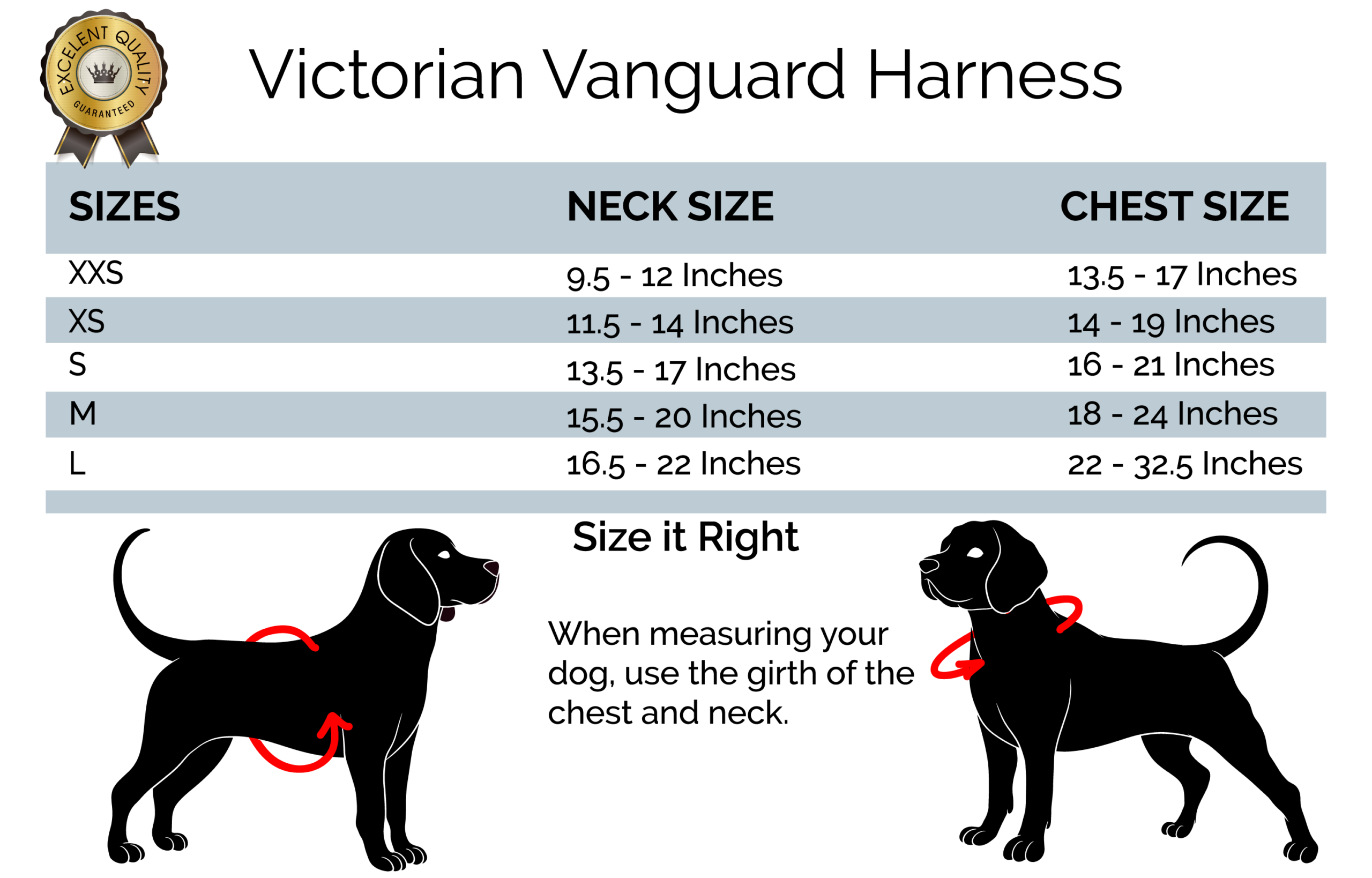 Dog Sizing Chart