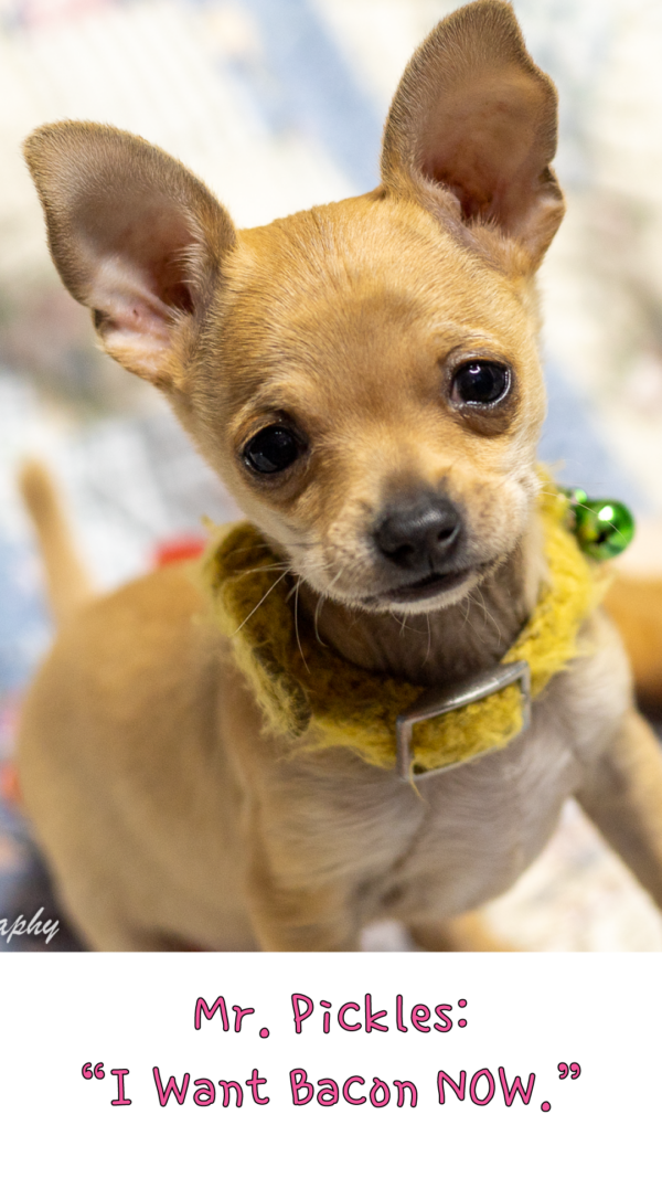 Mr. Pickles